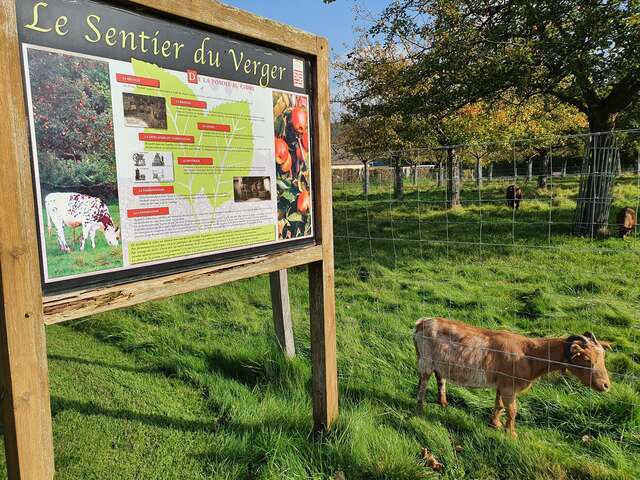 Le verger conservatoire