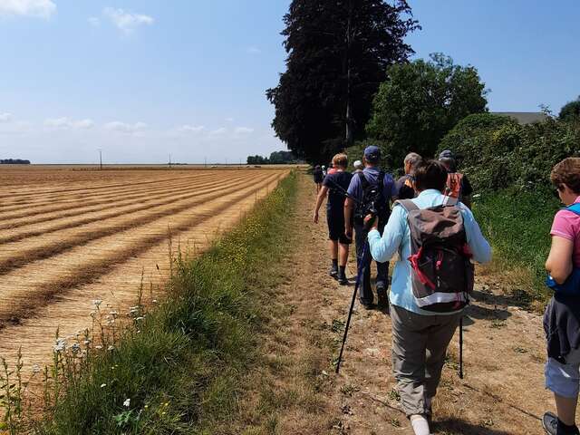 Randonnée pédestre