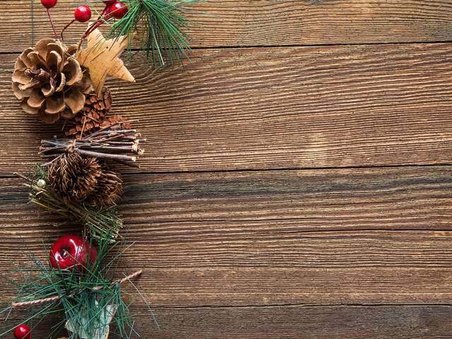Découverte nature en famille : Déco d'hiver