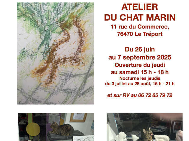 Exposition : "L'Eté du Chat 2025 : les 10 ans du chat Marin !"