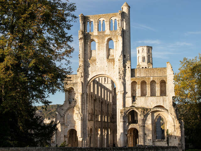 Abbaye et parc de Jumièges