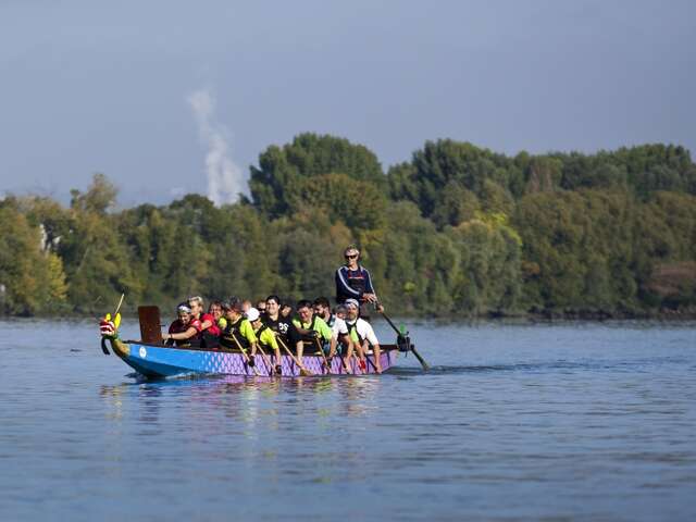 Les îles de la Seine en Dragon boat