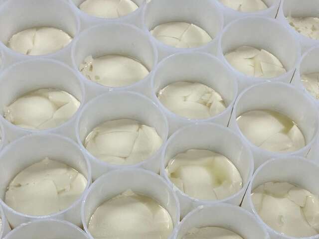 Camembert le 5 frères