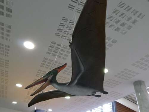 Exposition : Dinosaures