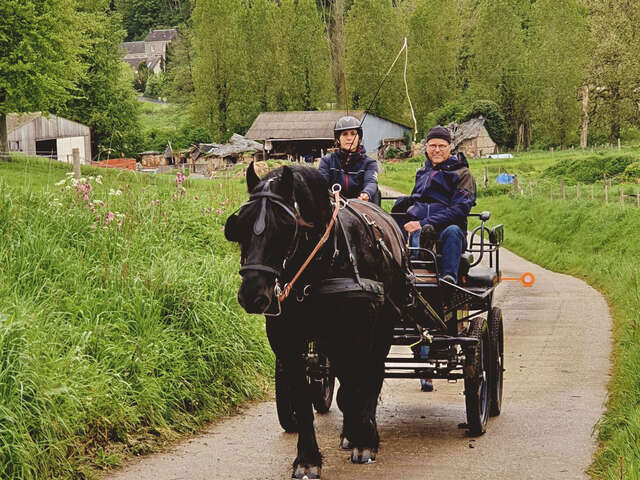 Balade en calèche, au pas des chevaux