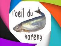 EXPOSITION : “L’œil du hareng”