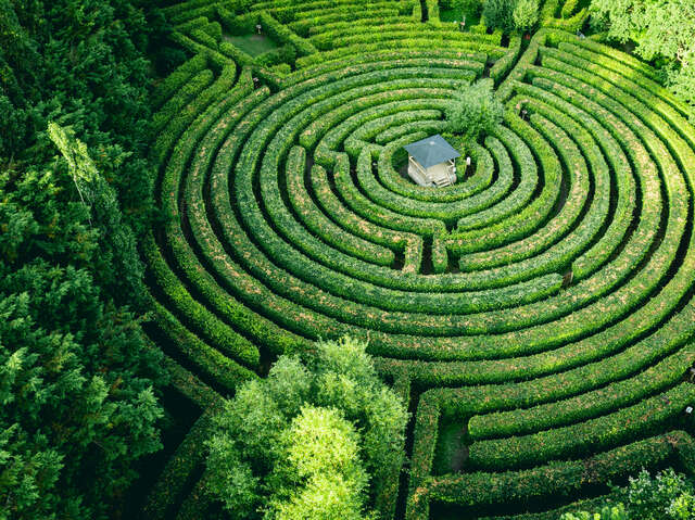 Labyrinthe artmazia