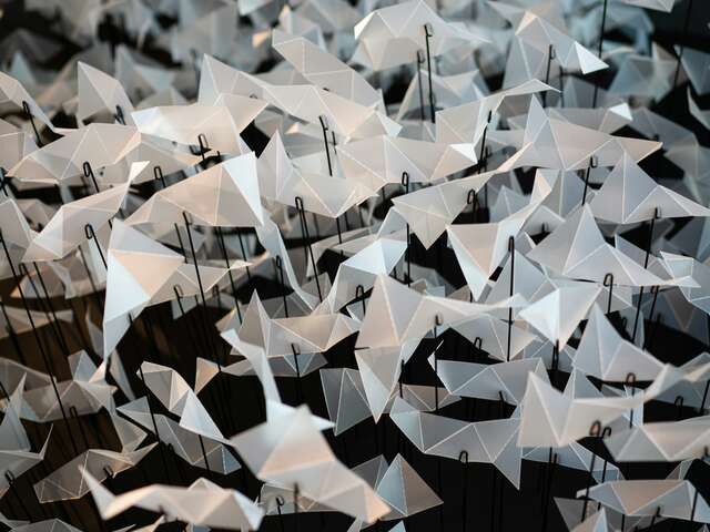 Les résiliences : Petite fille aux cheveux blancs