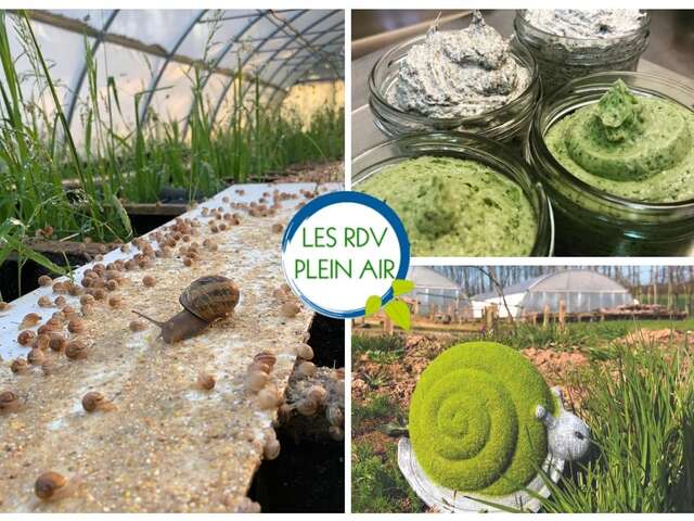 RDV Plein Air - VISITE AU CRÉPUSCULE DE LA FERME AUX ESCARGOTS