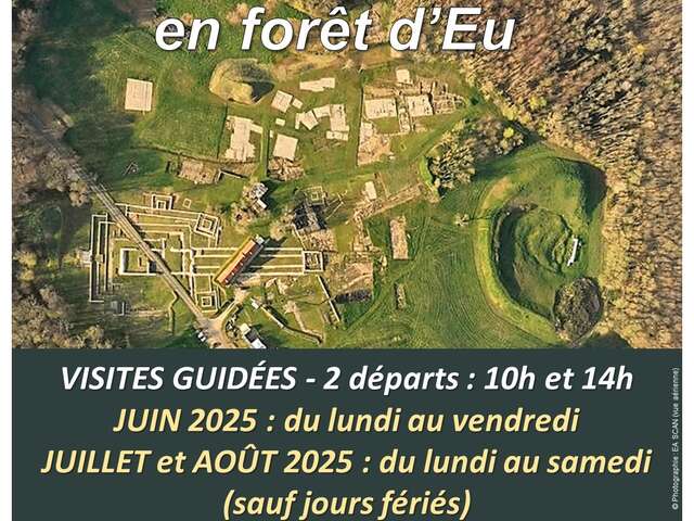 Visite guidée du site archéologique BRIGA