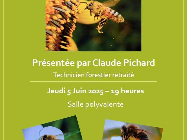 La vie des abeilles et des frelons