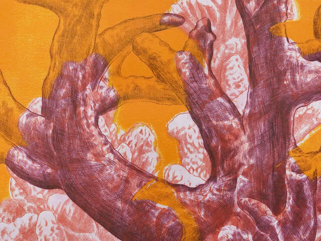 [Exposition temporaire] Mer Sans Fond