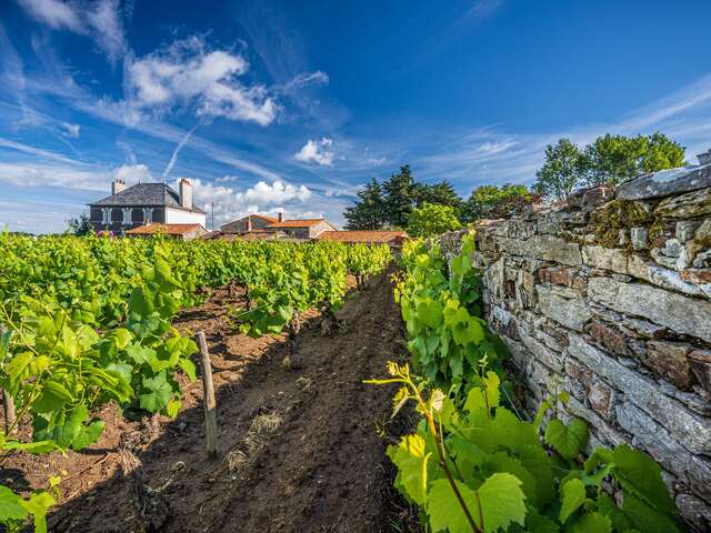 Domaine Jérémie Huchet