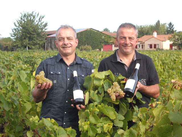 Domaine Martin Luneau