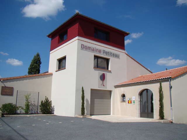 Domaine Petiteau