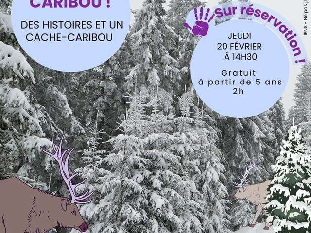 Atelier Caribou : Lectures et jeux