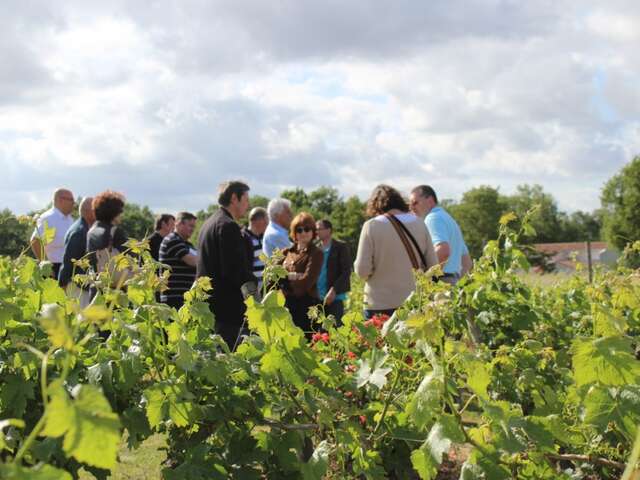 Domaine Florence et Joël Forgeau