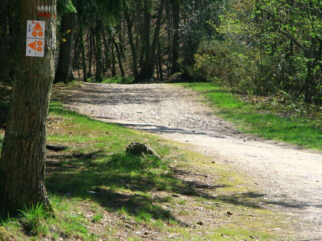 Mountain bike circuit no. 1 "Le Champ des Pas"