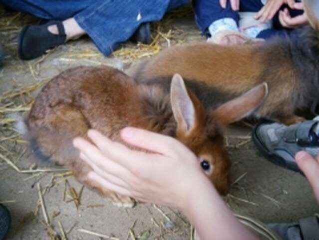 FERME DECOUVERTE ET PEDAGOGIQUE LA GASSELINAIS