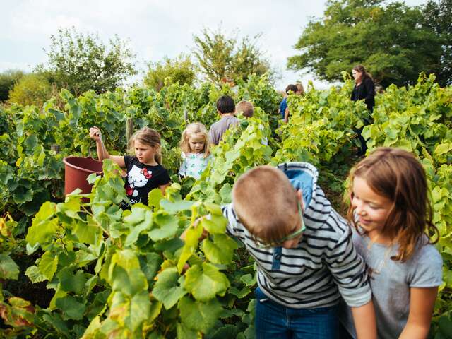 Musée du Vignoble Nantais