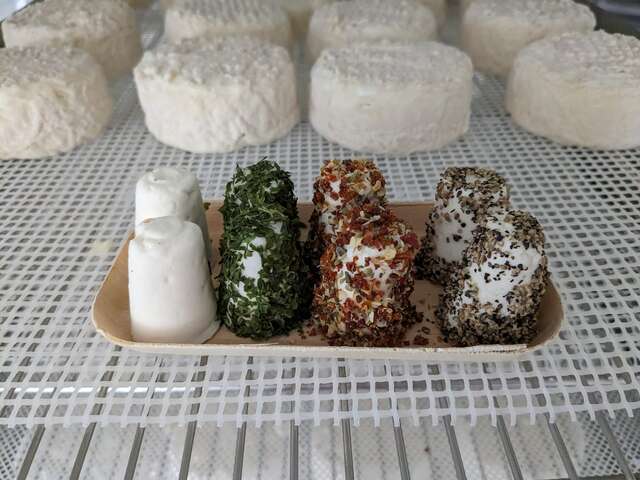 Les Chèvres de St Céneri