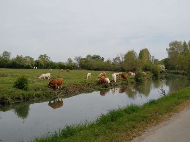 Aire de pique-nique au bord de La Sèvre