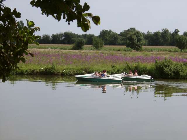 Location de canoë, kayak et paddle