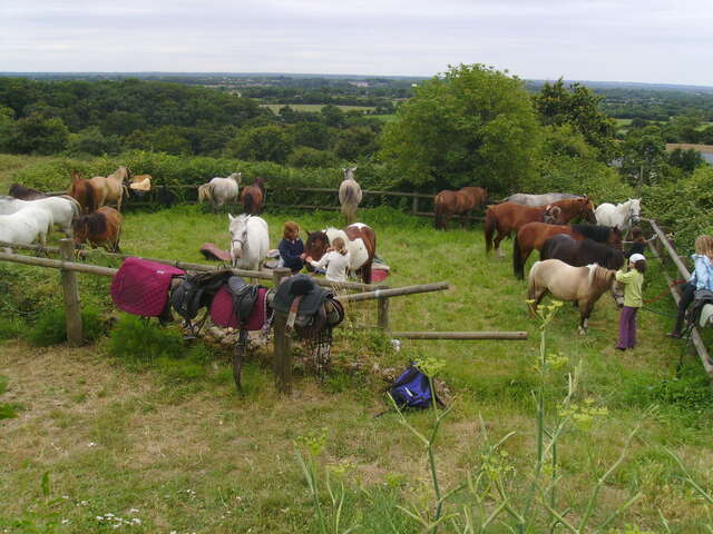 PONEY CLUB DES LANDES