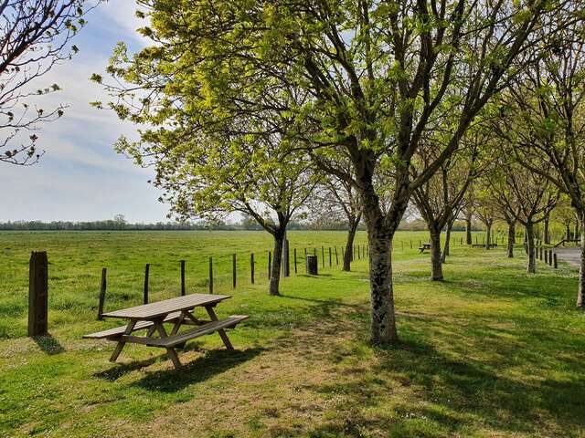 AIRE DE PIQUE-NIQUE - LE COMMUNAL