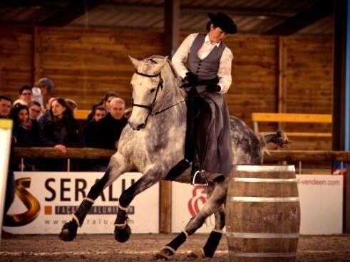 Stage équitation de travail - Equifeel