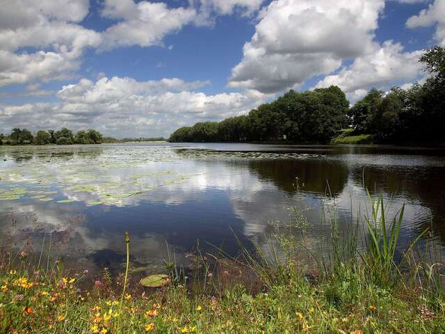 L'ETANG NEUF DE JUVIGNÉ