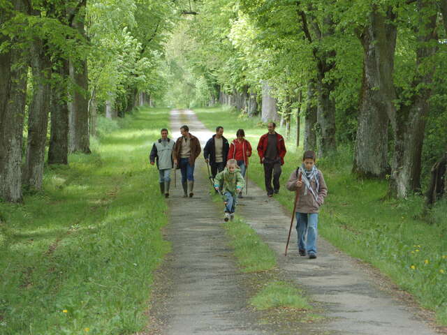 BOUCLE MULTI-RANDONNÉES N°03 - SECTEUR SAULGES, CHAMMES, ST JEAN SUR ERVE, ST PIERRE SUR ERVE ET THORIGNÉ