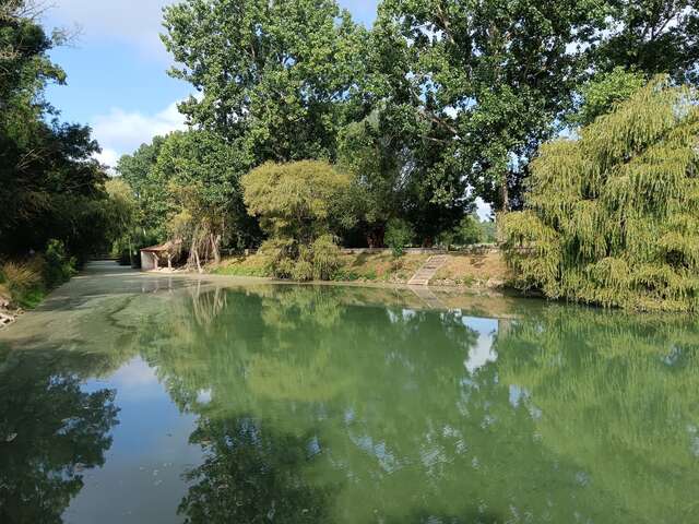 Circuit pédestre Les Nattes