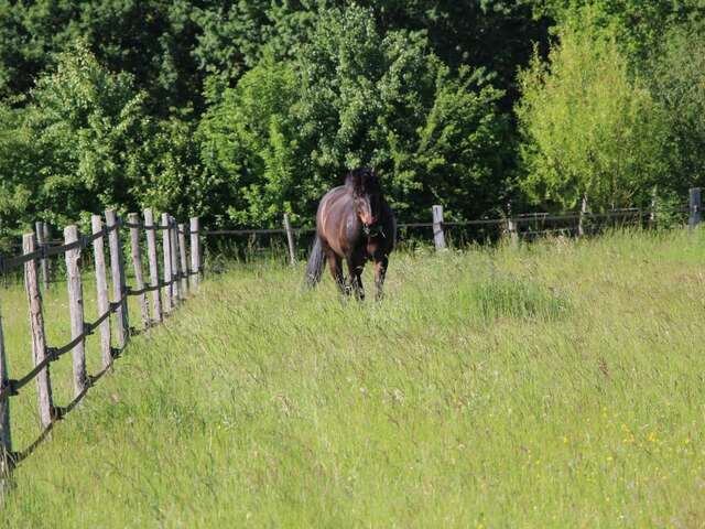 Écurie Seven Passion