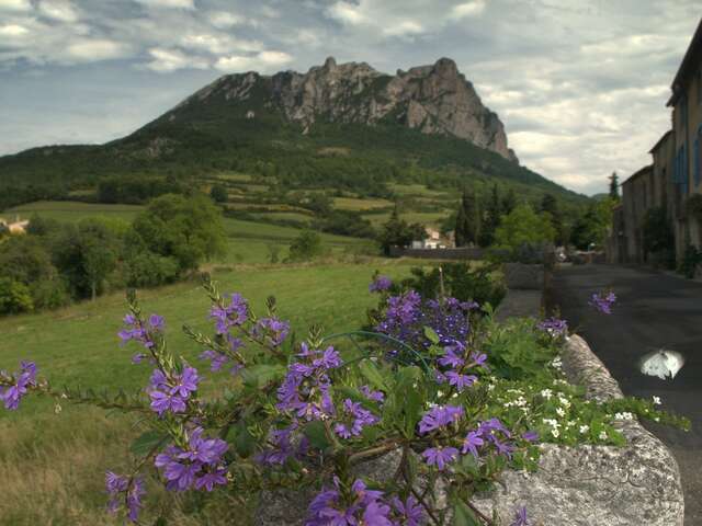 MARCHÉ DE BUGARACH