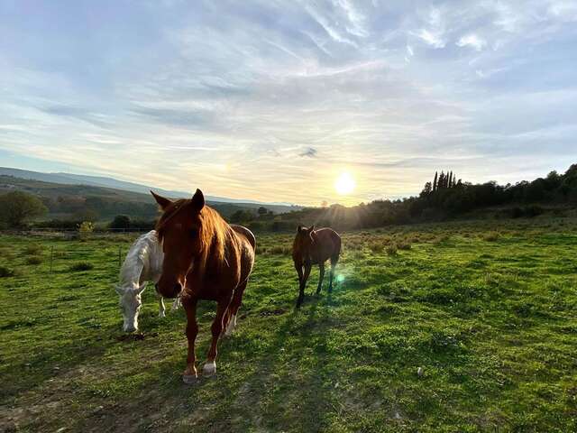 RANCH AU PETIT MAS