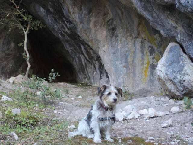 VISITE GUIDÉE : LA GROTTE BLEUE ET LA FONTAINE DES 4 RITOUS