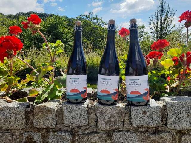 O' Pressoir des Hautes Falaises - Boutique
