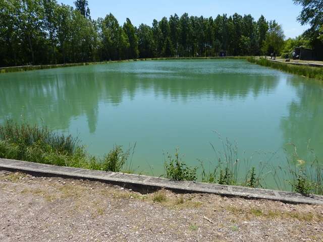 Étang de pêche : Les Bruyères