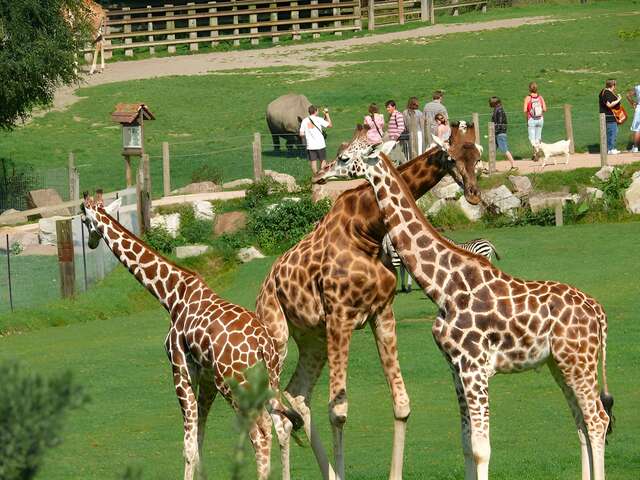 Cerza zoo