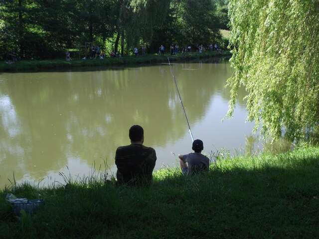 Etang de pêche de Courtonne-la-Meudrac