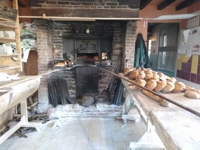 Apprendre à faire son pain au feu de bois chez les CO-Pains