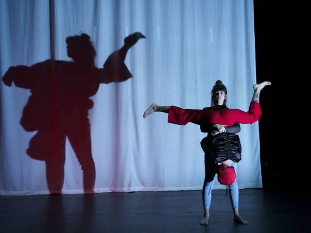 Boîte Noire - Cirque