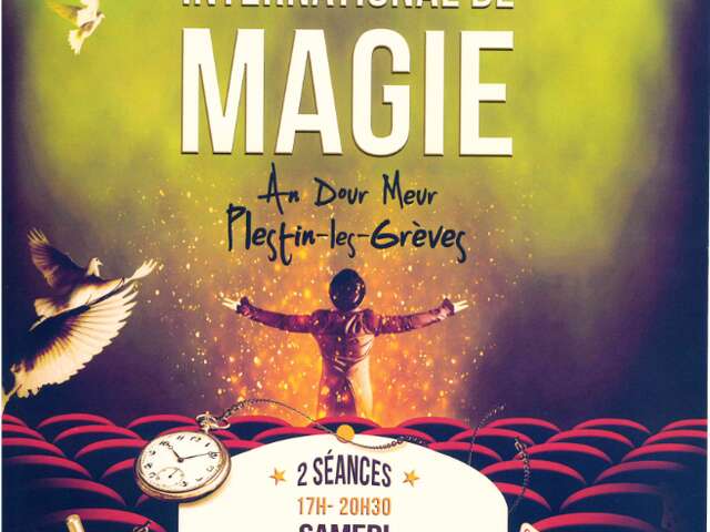 Festival international de magie