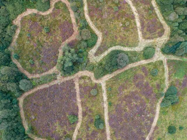 Réserve Naturelle Régionale des landes, prairies et étangs de Plounérin