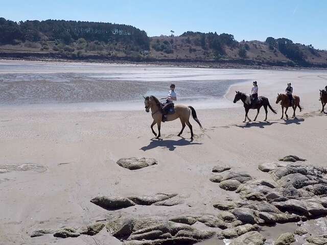 Lannion Equitation