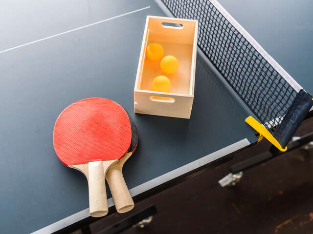 Coach Tennis de Table - Master Ping