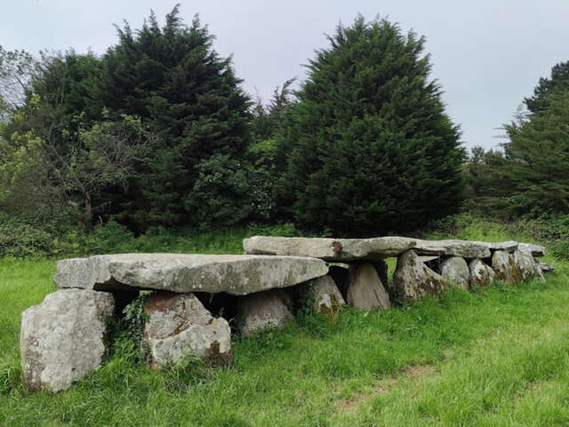 Allée couverte de Prajou-Menhir