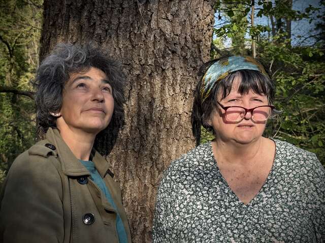 A pas de velours - Peintures, Photographies - Léguer en fête