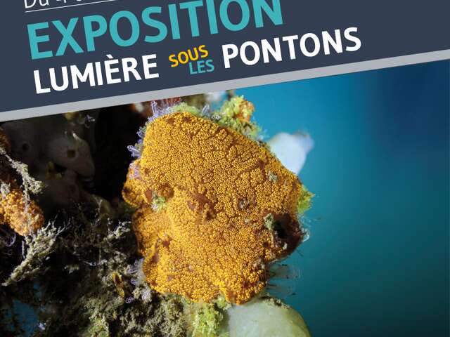 Lumière sous les pontons